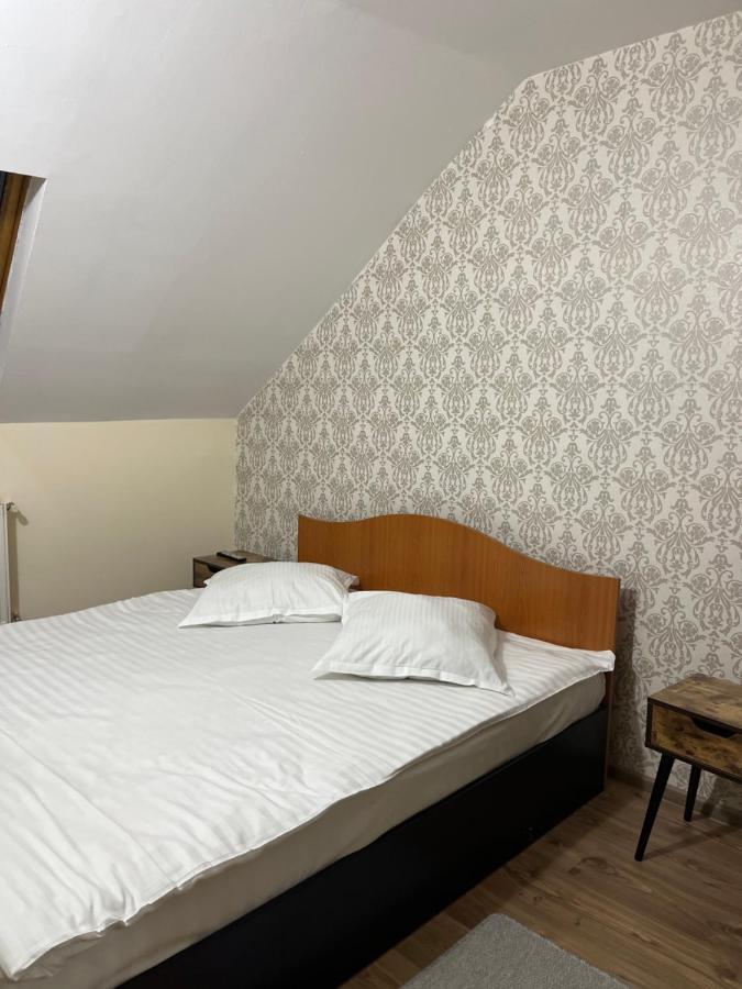 Hotel Pensiunea Diana à Făgăraş Extérieur photo