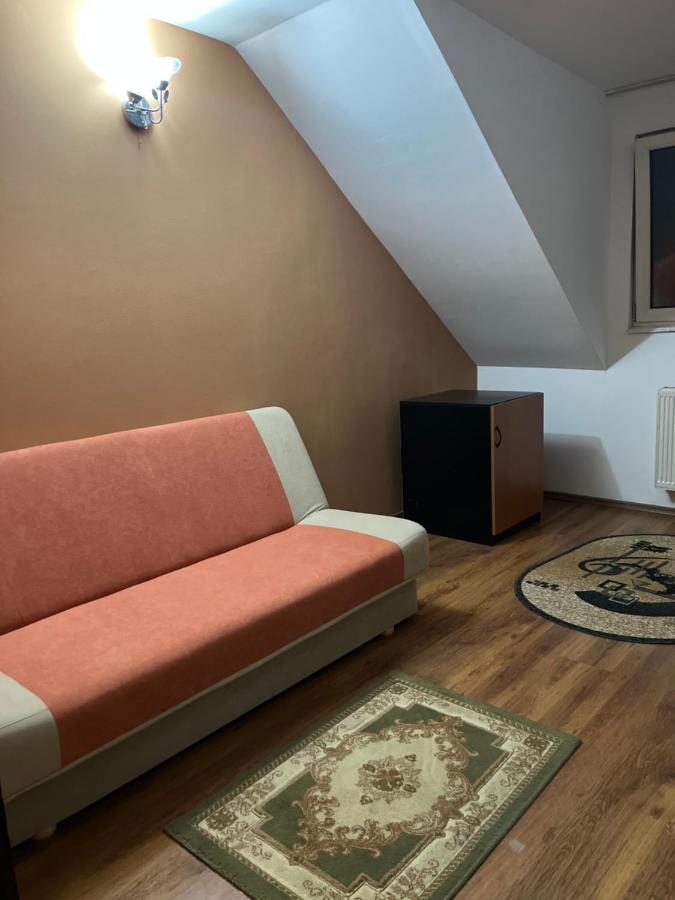 Hotel Pensiunea Diana à Făgăraş Extérieur photo