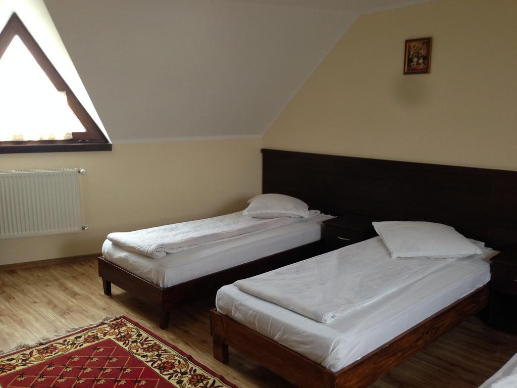 Hotel Pensiunea Diana à Făgăraş Extérieur photo